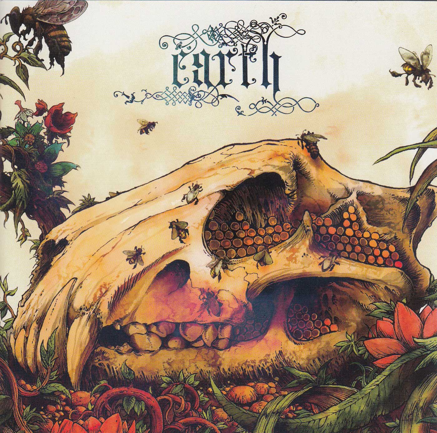 The Bees Made Honey In The Lions Skull